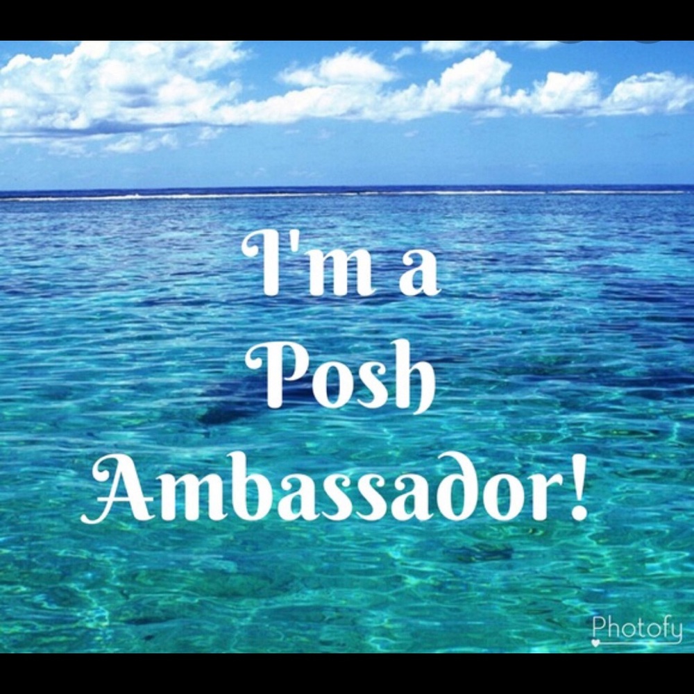 Ambassador